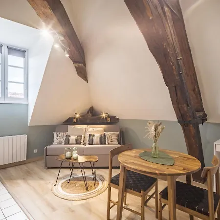 公寓 Studio Argenteuil - Charmant - Proche Cathedrale 特鲁瓦
